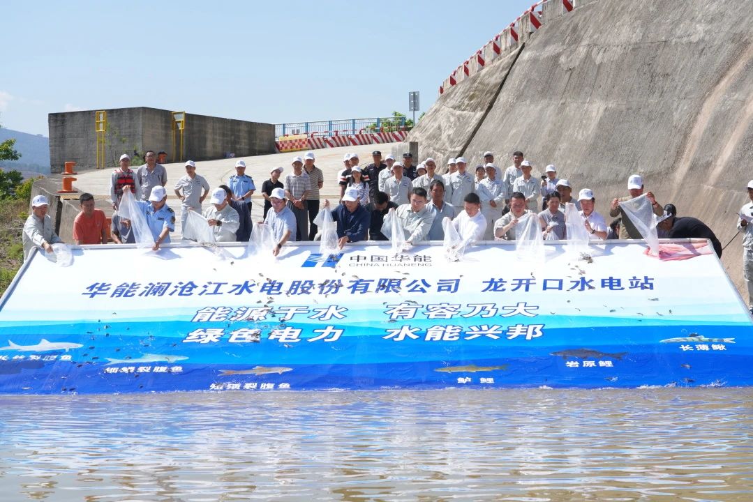 龙开口.jpg