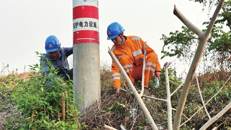 瑞丽供电局联合云南电网应急特勤队对10千伏畹瑞线全线杆塔开展专项巡检。 杨静梅 摄.jpg