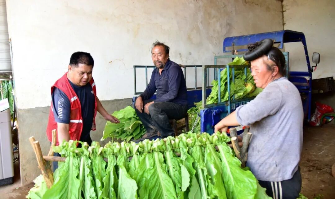 image_4.jpg