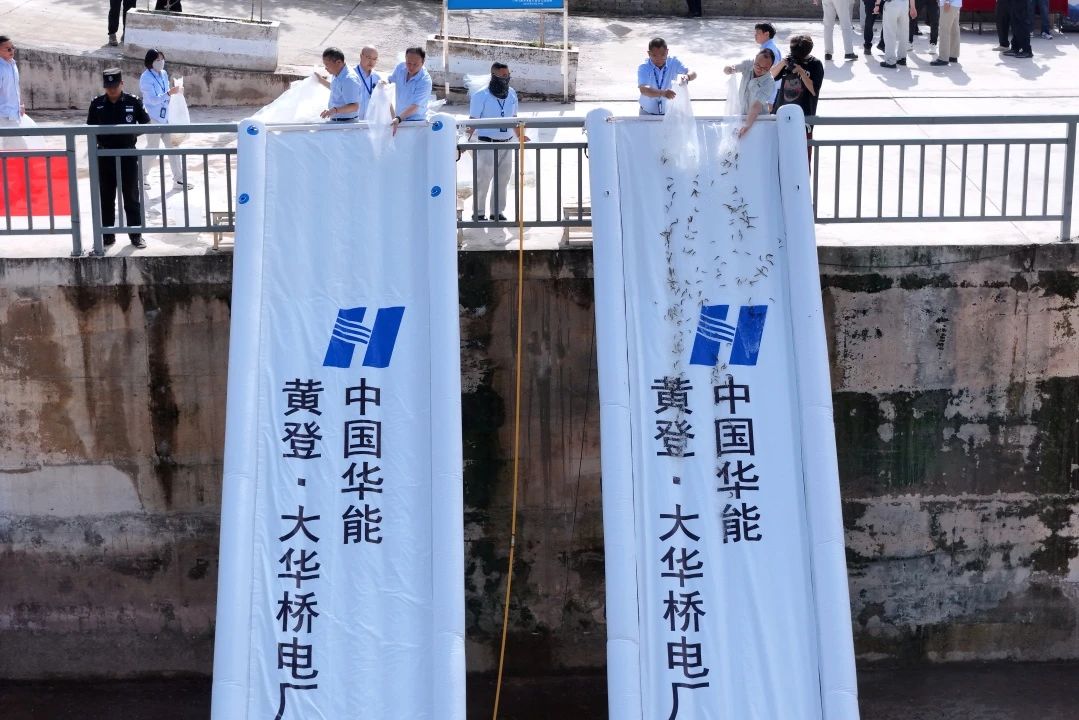 黄登大华桥.jpg