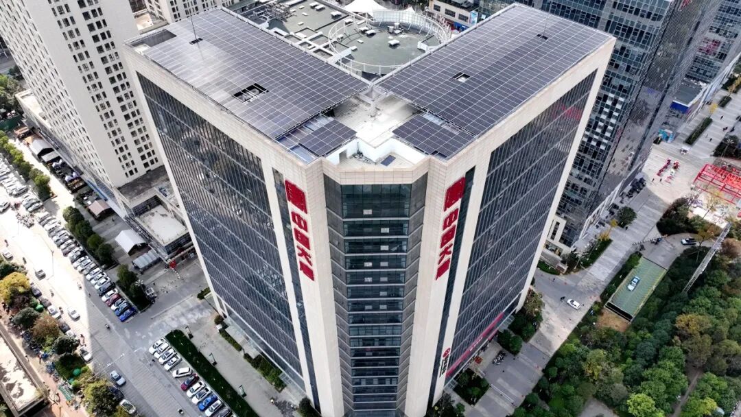 image_5.jpg