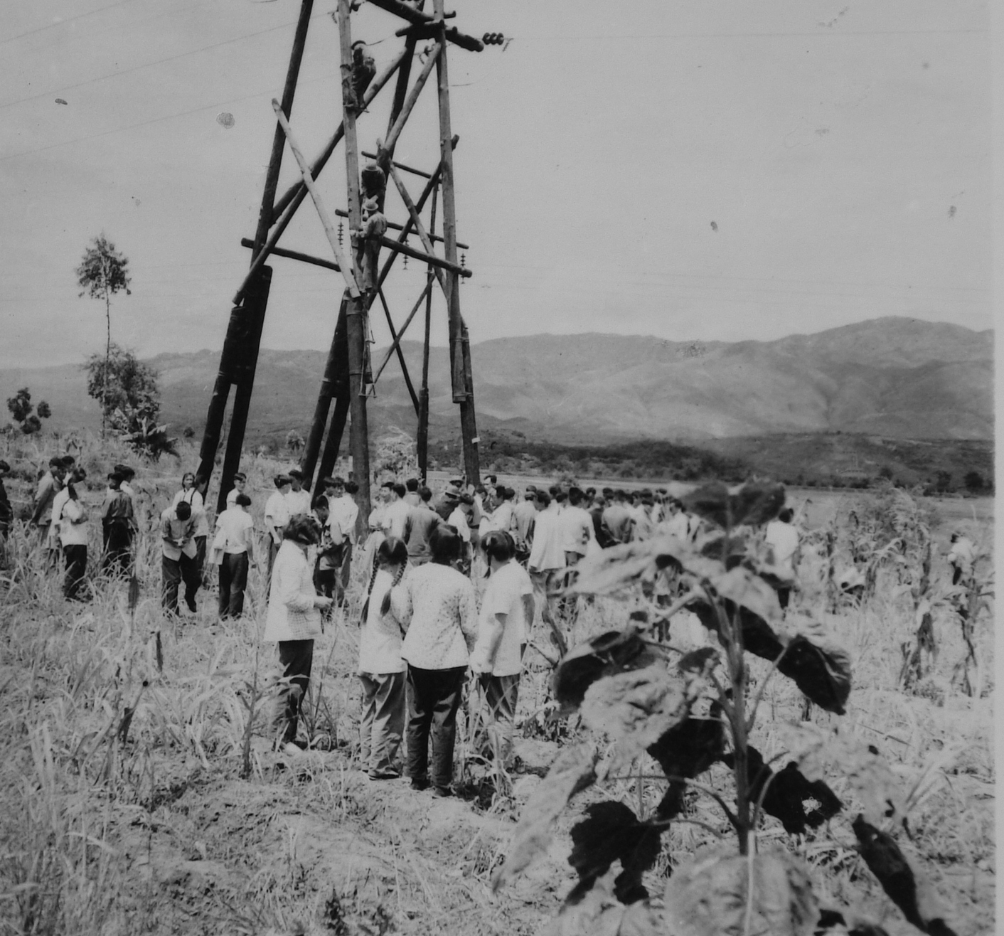 8.上个世纪50年代，开远电业局个旧供电所进行线路架设..JPG