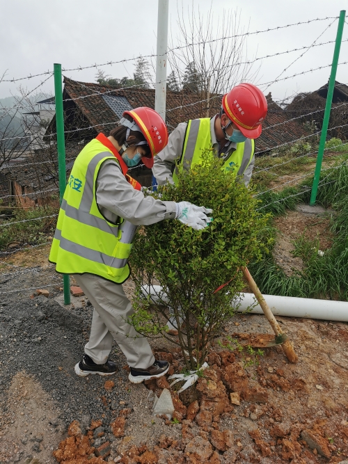 s_2003121543167776535.jpg s_2003121543167776535.jpg