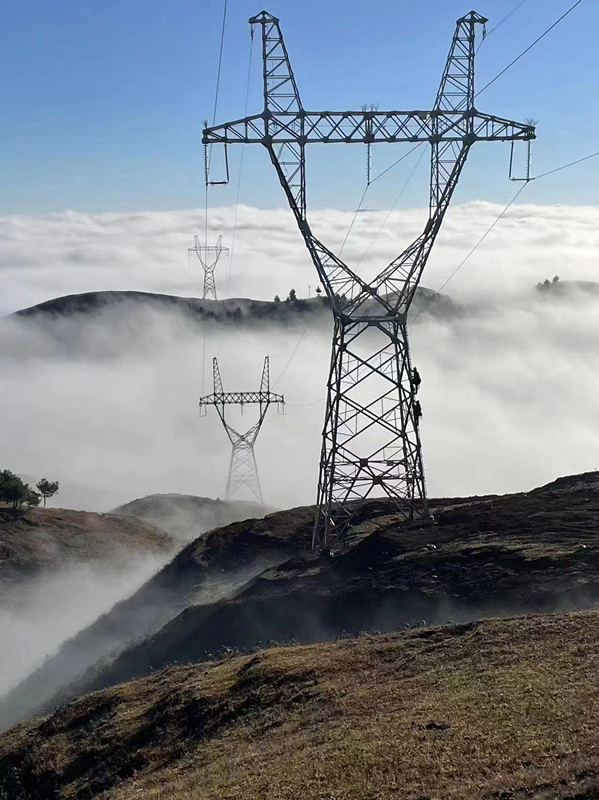 231123145316315633.jpeg 231123145316315633.jpeg