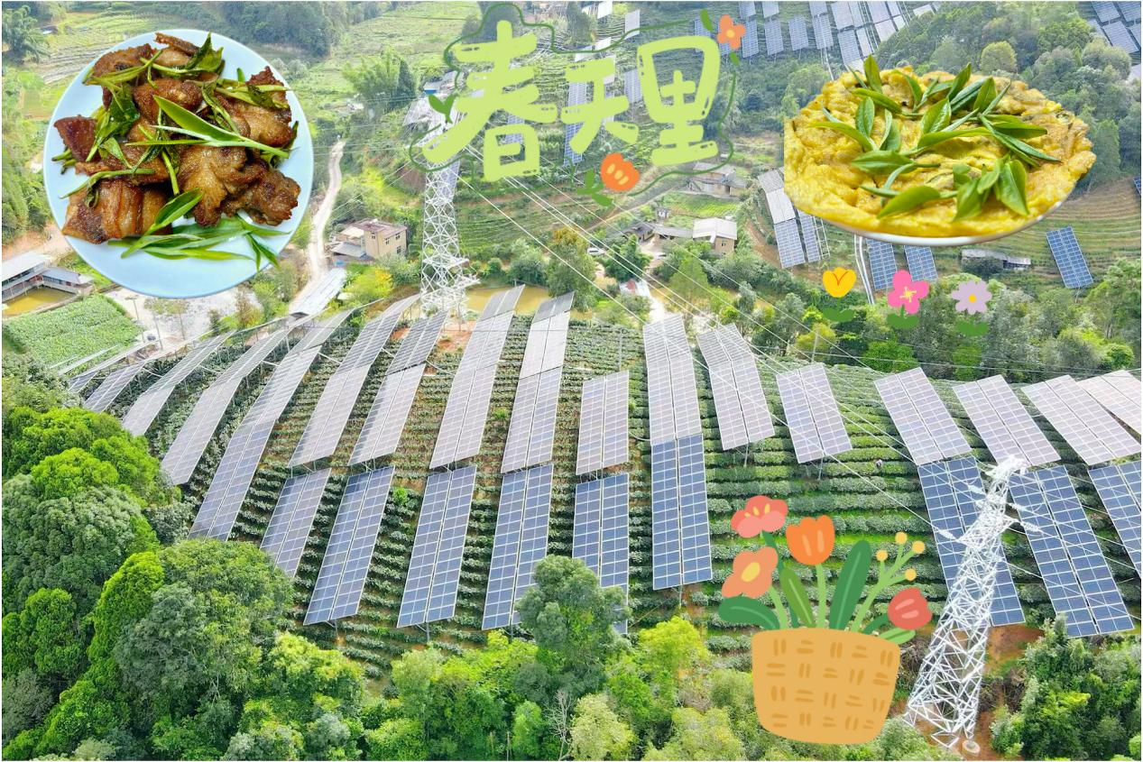 藏在中广核云南公司电站里的“滇味”春天