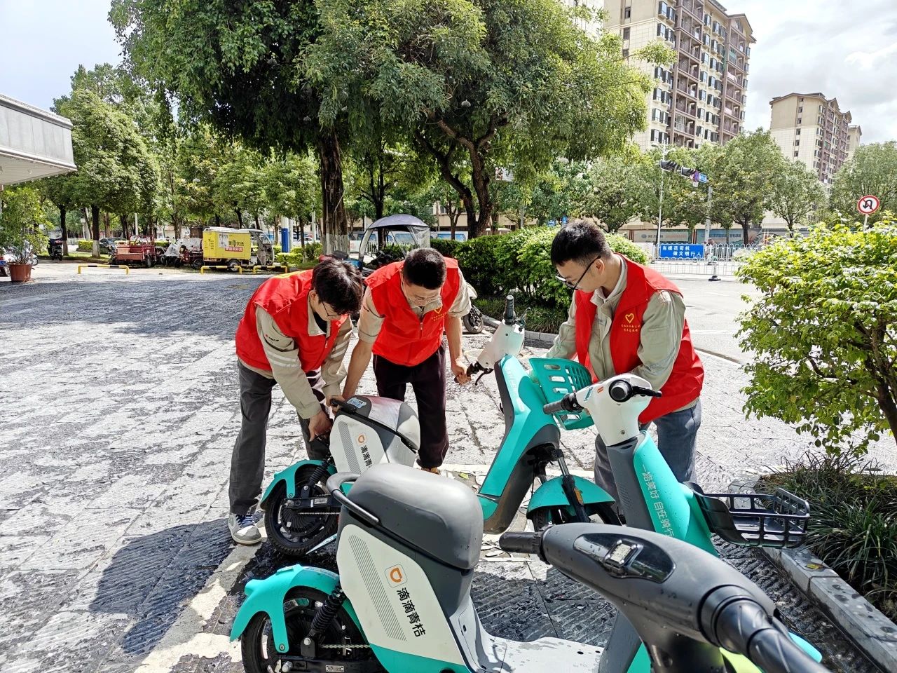 李仙江5.jpg